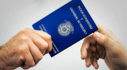 Desemprego é o menor em quase oito anos. Ocupação e rendimento batem recorde